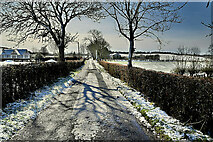 H4965 : Snow and shadows along Rarone Road by Kenneth  Allen