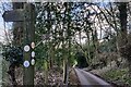 Footpath marker along Wynniatts Way