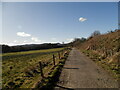 Farm track towards Muir of Tarradale