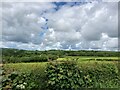 Farmland north of Peniel