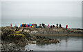 J4982 : Swimmers, Bangor by Rossographer