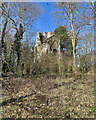 Silverley: the ruins of All Saints