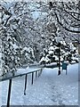 Snow covered path