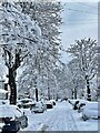 Suburban street after a heavy snowfall