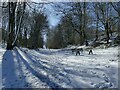 Looking up Houghley Gill in the snow