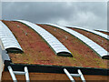 Roof detail, Royal Opera House production workshop, High House, Purfleet
