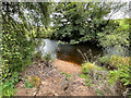 River Lossie from the camp site