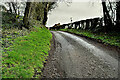 Muddy along Blacksessiagh Road