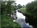 The River Devon