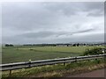 View over farmland to Dron