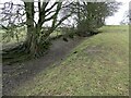 Field boundary at Rhiwlas, most likely an old sunken way