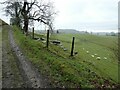 On part of the Llwybr Ceiriog Trail