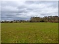 Barn Field