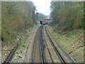 Railway north from Holmwood station