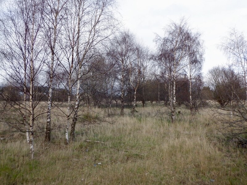 unused-land-goshen-richard-webb-geograph-britain-and-ireland