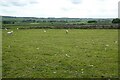 Limestone country