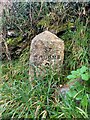 SW8862 : Old Milestone by road, SouthWest of Trevithick Pond, on junction at Trevithick by Sarah Pickerill