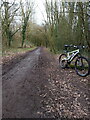 The Rough Park Way near Madeley Academy