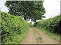 Track  heading  southeast  from  lane  near  Walton