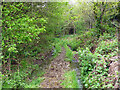 Bridleway 3348 around Heathend Copse