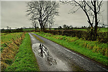 H5364 : Wet along Rock Road by Kenneth  Allen