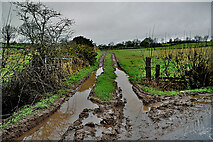 H5363 : Mucky entrance to field, Roscavey by Kenneth  Allen
