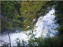 NS8841 : Falls of Clyde at New Lanark : The Falls at Corra Linn by Richard West