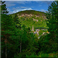 Ballater through the trees