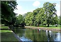 A backwater of the River Thames