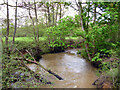 River Lod upstream of Salmons Bridge