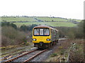 Llanelli & Mynydd Mawr Railway