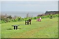 Cliff top benches at The Lees