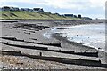 Shoreline below Studd Hill