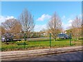 Allotments off Kennet Road