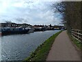 Towing path by Kennet and Avon Canal