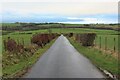 Farm pasture east of Tarbolton