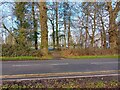 Footpath to Falkland Cricket Club