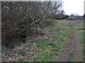 Path near Mill Bay