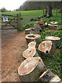 SJ4105 : Newly cut fallen tree by Dave Croker