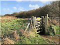 SH4393 : Gate in Anglesey Coast Path near Amlwch by David Dixon