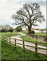 Road leading to Moor House Farm