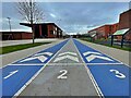 100m running track at the Sheffield Olympic Legacy Park