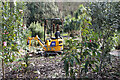 NX0942 : Digger in the Woodland Garden by Billy McCrorie