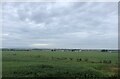 Farmland at Rattar