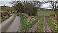 Lane to the left, footpath to the right