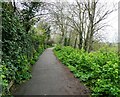 West Cliff Footpath, Whitstable