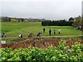 Golfers, Whitstable