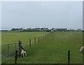 Slap Farm, Isle of Burray