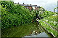SO8480 : Staffordshire and Worcestershire Canal approaching Cookley by Roger  D Kidd