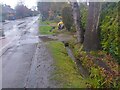 Stream on Wellington Road after heavy rain